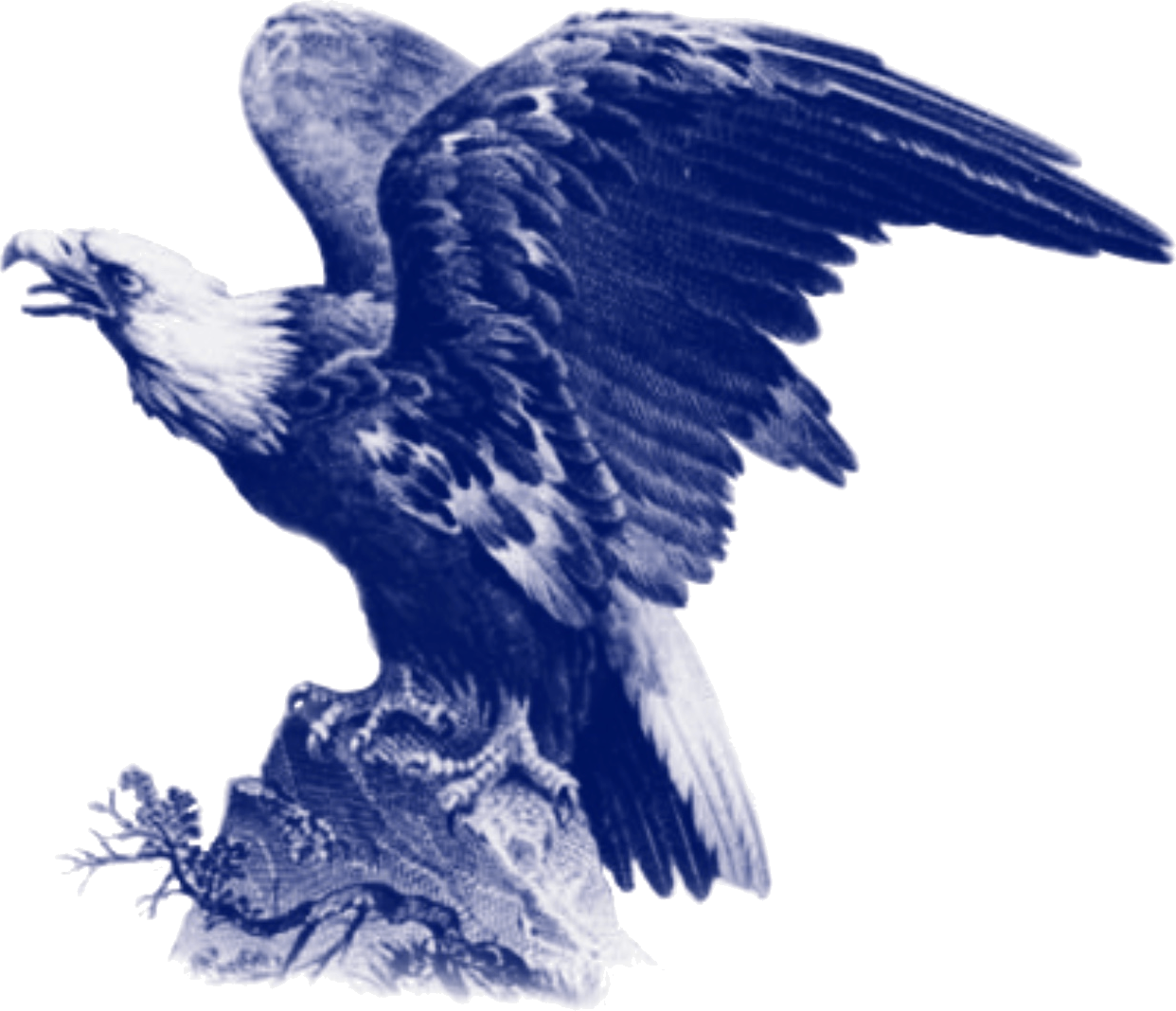 The bald eagle from the American Premium Vodka label