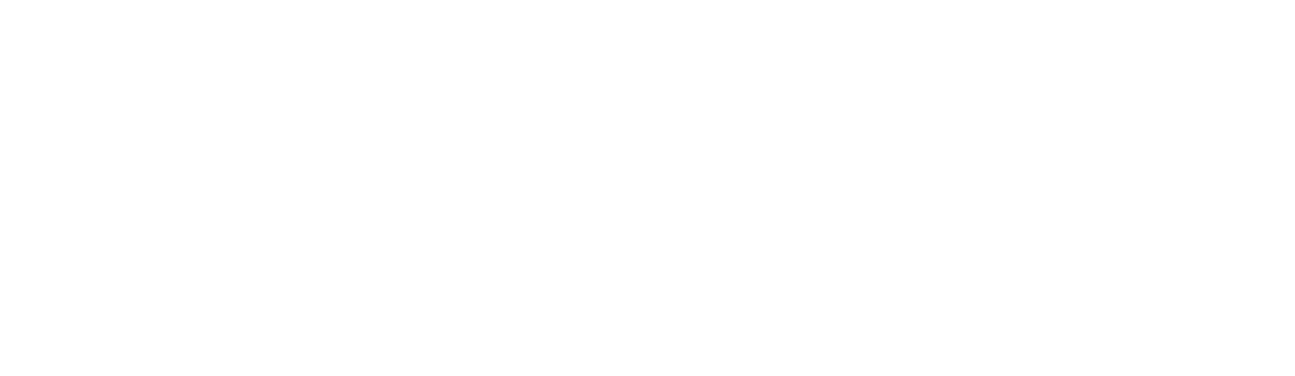 We the People